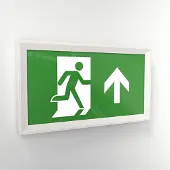 HOFTRONIC™ LED-Notleuchte 3,5W 100lm IP20 Weiß Grün