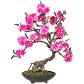 Otto Home Kunstbonsai "Margarete", pink, B:23cm H:50cm, Obermaterial: 50% Kunststoff, 50% Polyester, Kunstpflanzen, Kunstbonsai, Kunstpflanze, in formschöner Zementschale