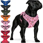 Reichstadt RS Pets Hundegeschirr 25RSP083 Puppy Parade Pink S
