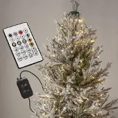 Star Trading LED-Lichterkette 'Smart', 160 bunte LED, per App