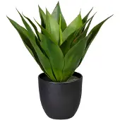 Creativ Green Künstliche Zimmerpflanze "Agave", grün, H:36cm, Kunststoff, Kunstpflanzen, Künstliche Zimmerpflanze