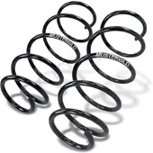 BESTPRICE 1x Fahrwerksfeder Hinterachse [Hersteller-Nr. 31475507] für Vauxhall, Opel