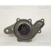 TRISCAN Wasserpumpe [Hersteller-Nr. 860010014] für Smart