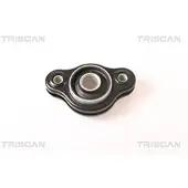 TRISCAN Lagerung, Lenker [Hersteller-Nr. 8500238001] für Mercedes-Benz