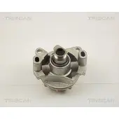 TRISCAN Wasserpumpe [Hersteller-Nr. 860010017] für Renault, Nissan, Vauxhall, Opel