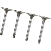 BESTPRICE 4x Einlaßventil [Hersteller-Nr. 30414866] für Seat, VW, Audi
