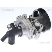 TRISCAN Wasserpumpe 8600 16071