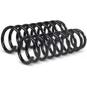 BESTPRICE 2x Fahrwerksfeder hinten [Hersteller-Nr. 41706841] für Hyundai, Kia