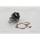TRISCAN Wasserpumpe [Hersteller-Nr. 860010081] für Ds, Toyota, Peugeot, Opel, Citroën, Vauxhall