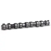BESTPRICE Nockenwelle Einlassseite [Hersteller-Nr. 41536596] für Vauxhall, Opel