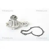 TRISCAN Wasserpumpe [Hersteller-Nr. 860029812] für Seat, VW, Audi, Ford