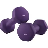Songmics Hanteln, 2er Set, 2 x 1 kg SYLB35902P02