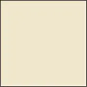 LEE Filters 81B 100x100mm Un 2mm th.