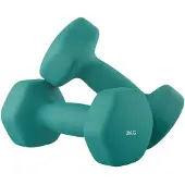 Songmics Hanteln, 2er Set, 2 x 3 kg SYLB35906Q01