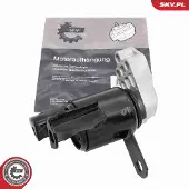 ESEN SKV Motorlager Hydrolager Rechts für FORD Fiesta Mk6 Schrägheck (JA8, JR8) 75SKV012