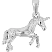 Akzent Kinder Anhänger Shiny Shiny, langlebig