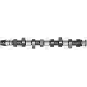 AE CAM441 Nockenwelle für VW GOLF III (1H1) für AUDI A4 Limousine (8D2, B5) A4 Avant (8D5, B5) A6 Avant (4B5, C5) 80 Limousine (8C2, B4)