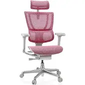 Hjh OFFICE Luxus Chefsessel ERGOHUMAN SLIM G GEN2 Ergonomischer Bürostuhl mit Armlehnen (höhenverstellbar) Netzstoff Drehstuhl für Büro, Zuhause