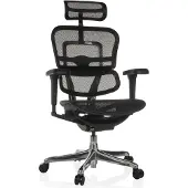 Hjh OFFICE Luxus Chefsessel ERGOHUMAN ULTRA GEN2 Ergonomischer Bürostuhl mit Armlehnen (höhenverstellbar) Netzstoff Drehstuhl für Büro, Zuhause