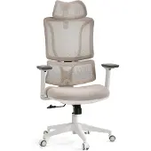 MyBuero Profi Bürostuhl ERGOMY W Ergonomischer Schreibtischstuhl mit Armlehnen (höhenverstellbar) Stoff / Netzstoff Beige Drehstuhl für Büro, Zuhause