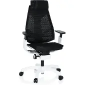 Hjh OFFICE GENIDIA PRO WHITE - High End Bürostuhl Schwarz