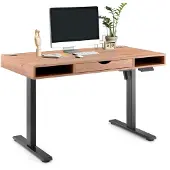 Hjh OFFICE Elektrisch höhenverstellbarer Schreibtisch Worktime Style Computertisch höhenverstellbar 72.0 - 110.0 x 120.0 x 60.0 cm