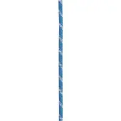 Edelrid Performance Static 10,5mm turquoise (379) 50 M