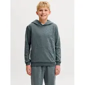 Jack & Jones Einfarbig Kapuzenpullover Boys