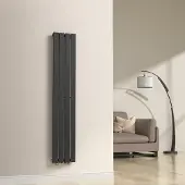 Neu.haus Flachheizkörper 'Nore' Schwarz 160x30cm Einlagig 540W