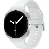 Samsung SM-L325FZSAEUB, 3,3 cm (1.3"), AMOLED, Touchscreen, 32 GB, GPS, 30 g