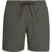 Protest Badehose Faster Grey Green Herren-XXXL