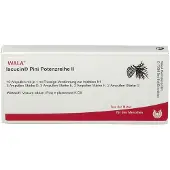 Wala Iscucin pini Potenzreihe II Ampullen 10x1 ml
