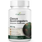 VitaSanum - Cissus Quadrangularis (Veldtraube) 500 mg 100 St Kapseln