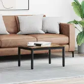 vidaXL Couchtisch Raucharbe 70 x 50 x 36 cm Holzwerkstoff