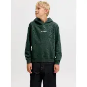 Jack & Jones Gedruckt Kapuzenpullover Boys