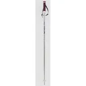 Völkl Phantastick Frau Pole