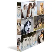 Herma Ringbuch A4 Motiv