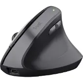 Trust TM-270, Rechts, Vertikale Ausführung, Optisch, RF Wireless, 2400 DPI, Schwarz