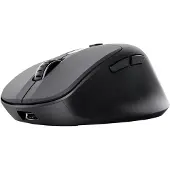 Trust Zevo, rechts, Optisch, RF Wireless + Bluetooth, 4000 DPI, Schwarz