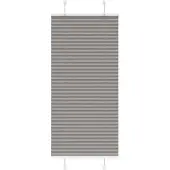 vidaXL Plissee Anthrazit 55x100 cm Stoffbreite 54,4 cm Polyester