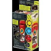 Invento Brainstorm: Taschenlampenprojektor - Diashow Dinosaurier