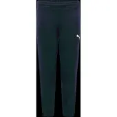Puma Kinder Trainingshose Teamgoal