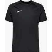 Nike Herren Trikot M NK DF PARK VIII JSY SS
