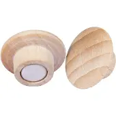 Legamaster WOODEN Magnet 25mm 5St.