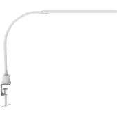 MAUL LED-Klemmleuchte MAULpirro, Leistung 7 W, 4-Stufen-Dimmer, 390 lm, schwenkbar, Klemmweite 45 mm, weiß