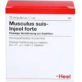 Heel Musculus Suis Inj Fo Org 10 ST