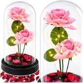 Wisam Ewige Rose Glaskuppel LED Kristall 21,5 cm Deko