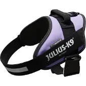 Julius-K9 IDC Powergeschirr lila, Größe: L/1