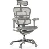 Hjh OFFICE Luxus Chefsessel ERGOHUMAN ULTRA G GEN2 Ergonomischer Bürostuhl mit Armlehnen (höhenverstellbar) Netzstoff Drehstuhl für Büro, Zuhause