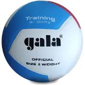 Gala Volleyballball Pro-line Bv5565s